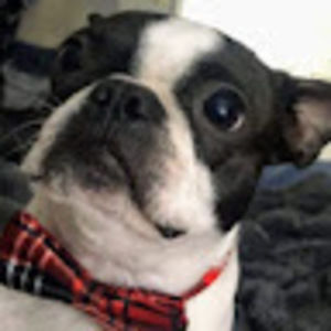 Meet your Posher, Matthew